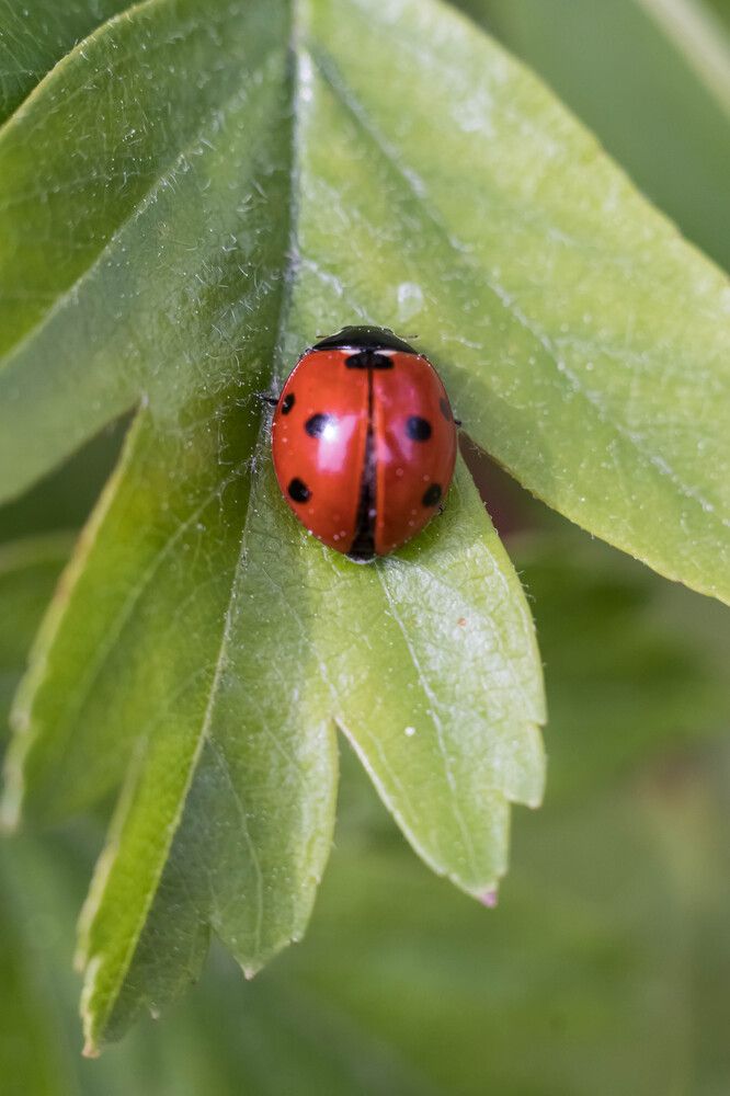 Photograph by Татьяна Байкова