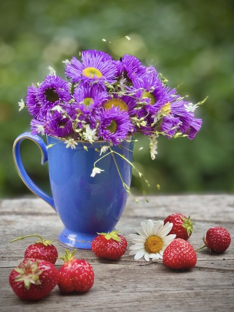 Фотография автора Evgeniya Ivanova