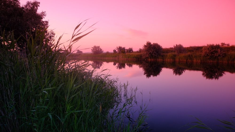 Photograph by Яна Истоцкая