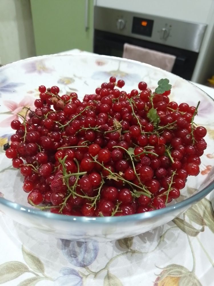 Photo #12327471