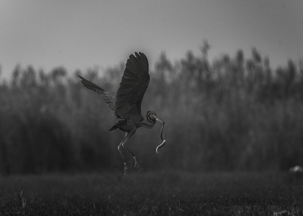 Photograph by Prabhat Ghosh