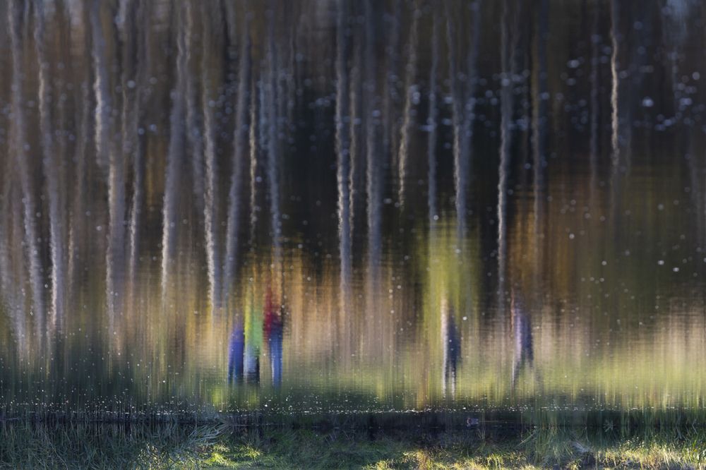Фотография автора Анатолий Фомин