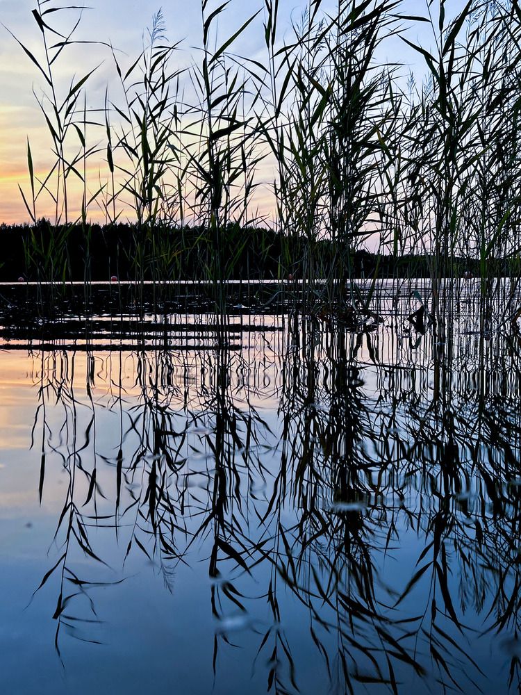 Photograph by Olga Smirnova