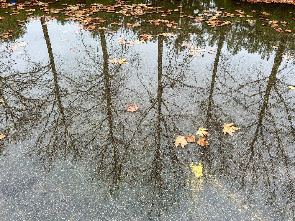 Photograph by Olga Smirnova