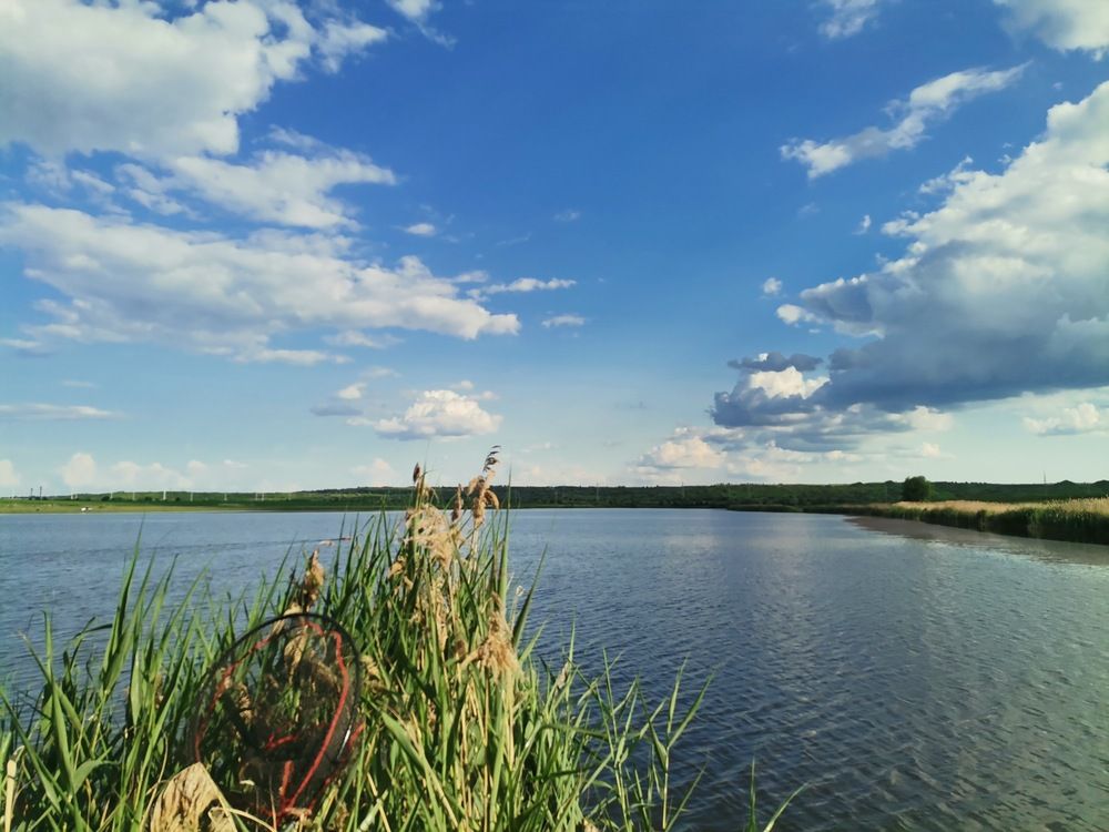 Фотография автора Stoyan Blagoev