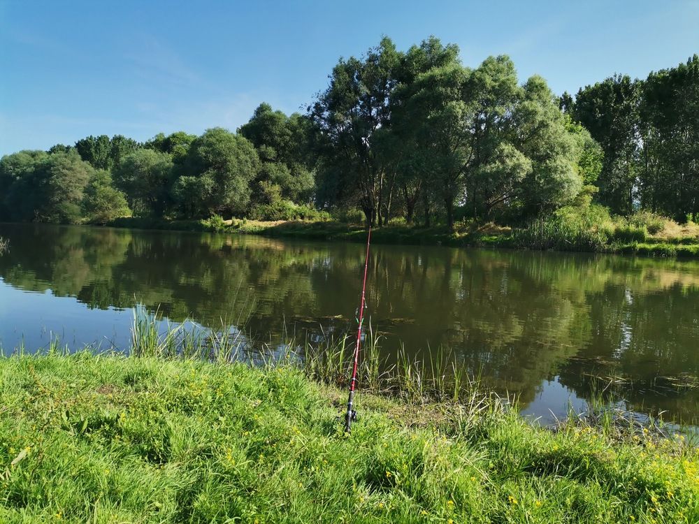 Фотография автора Stoyan Blagoev