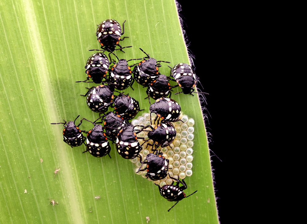 Photograph by ghaniya Almajrafi