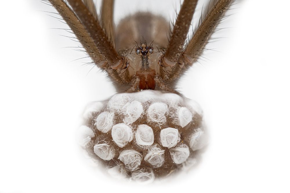 Photograph by ghaniya Almajrafi