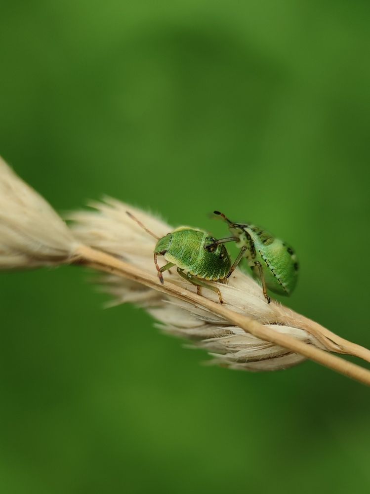 Photograph by Ирина Строкова