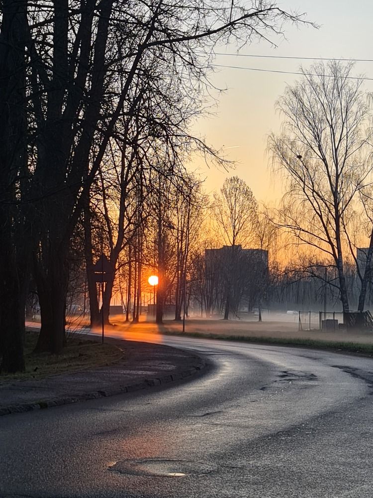 Photograph by Ирина