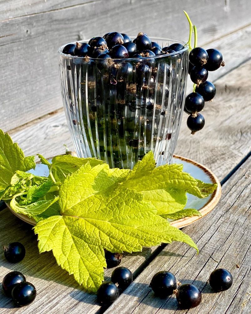 Photograph by Татьяна Маслова