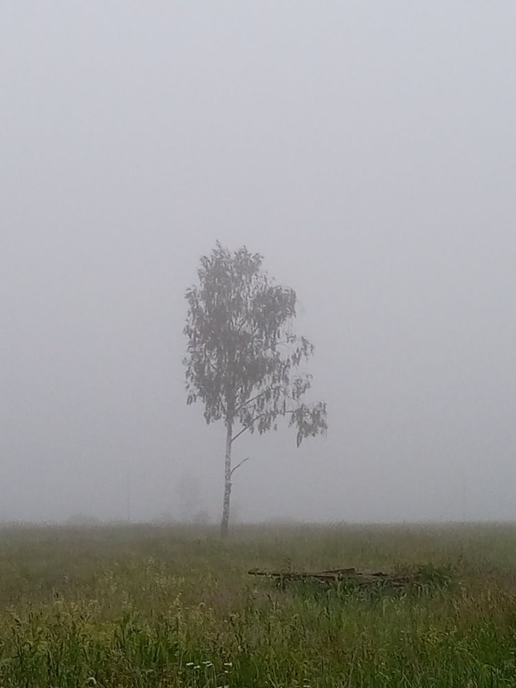 Photo #12327691