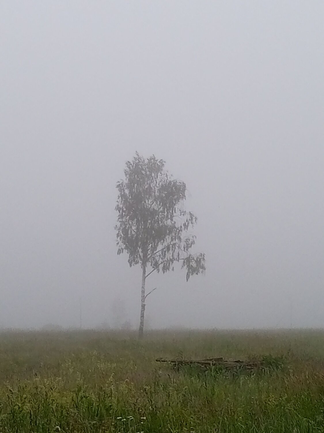 Photo #12327691