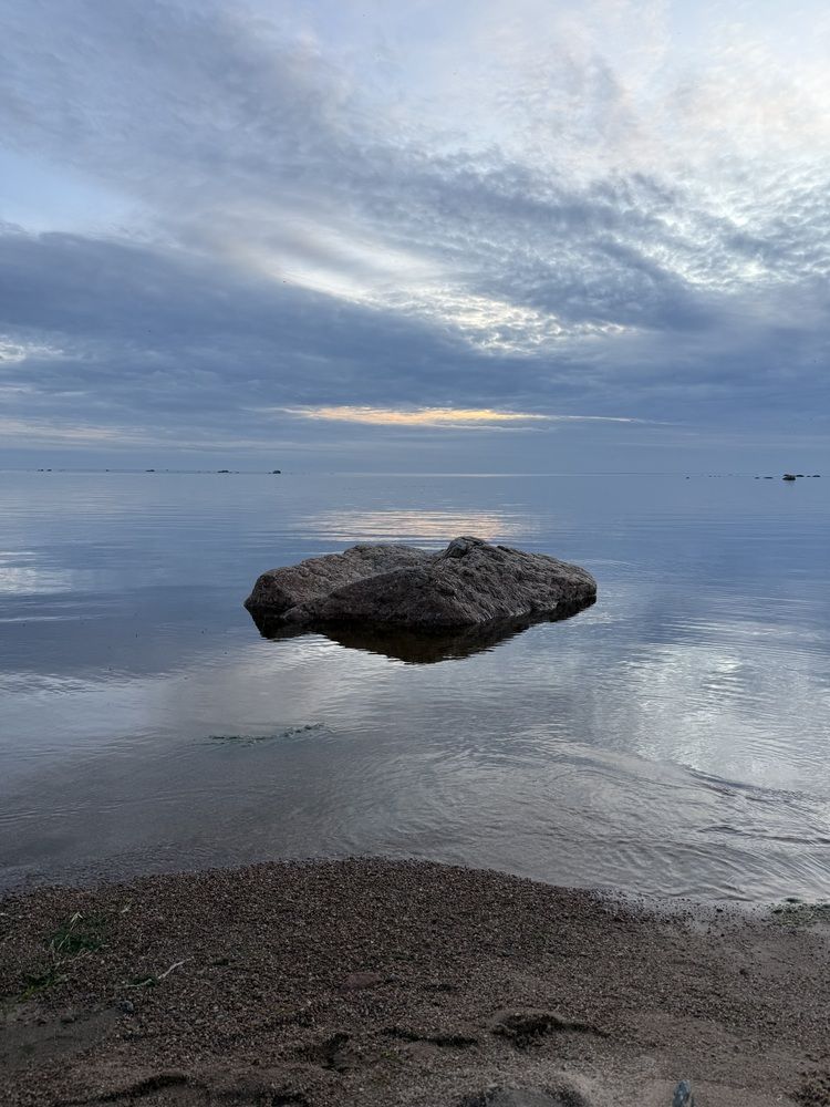 Photograph by Бондаренко Светлана