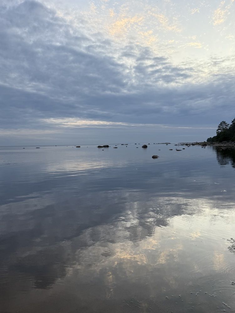 Photograph by Бондаренко Светлана