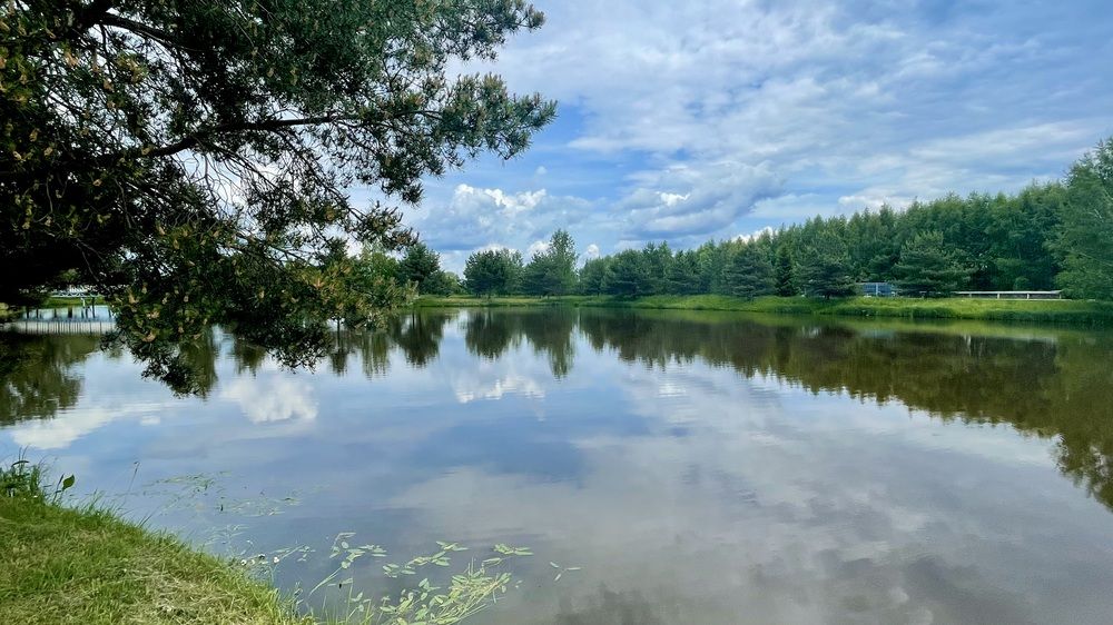 Photograph by Елизавета Большакова