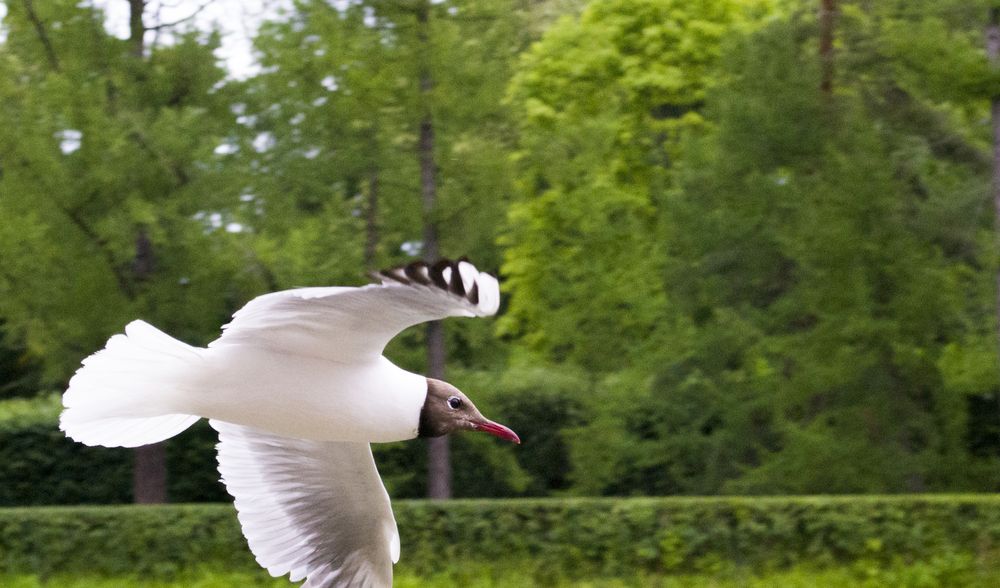 Photograph by Елизавета Большакова