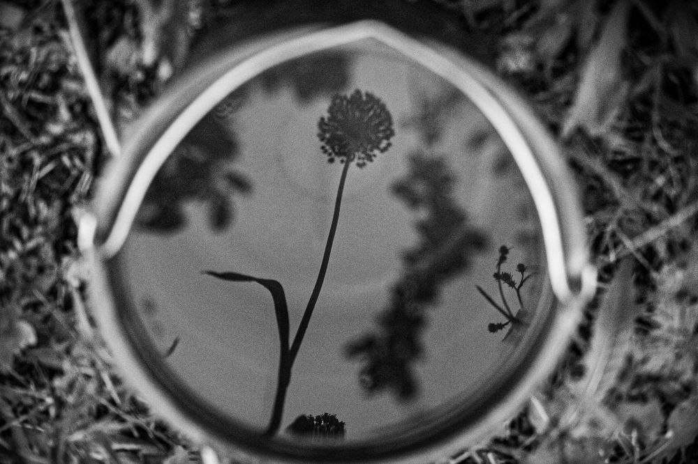 Фотография автора Михаил Лупина