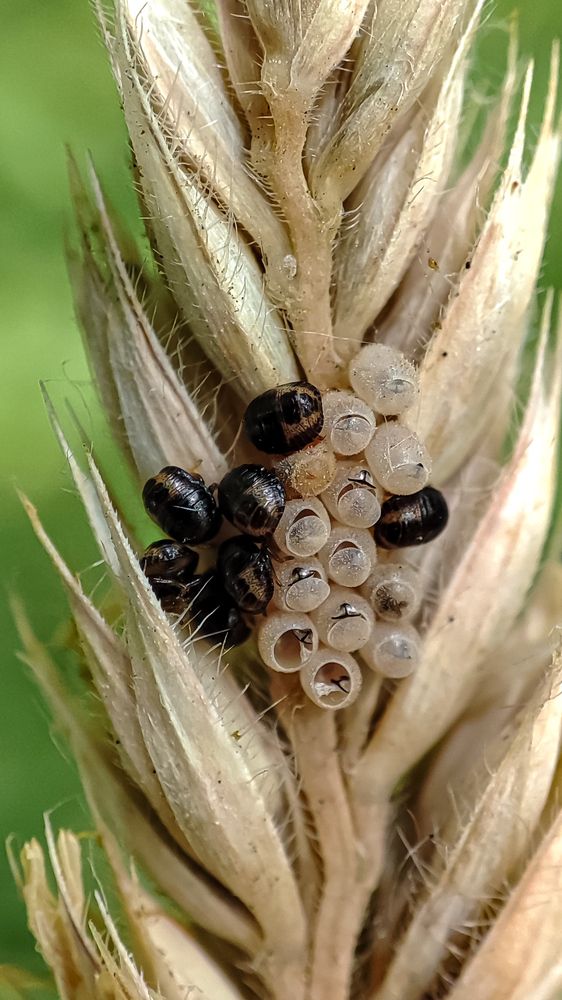 Photograph by Ирина Строкова