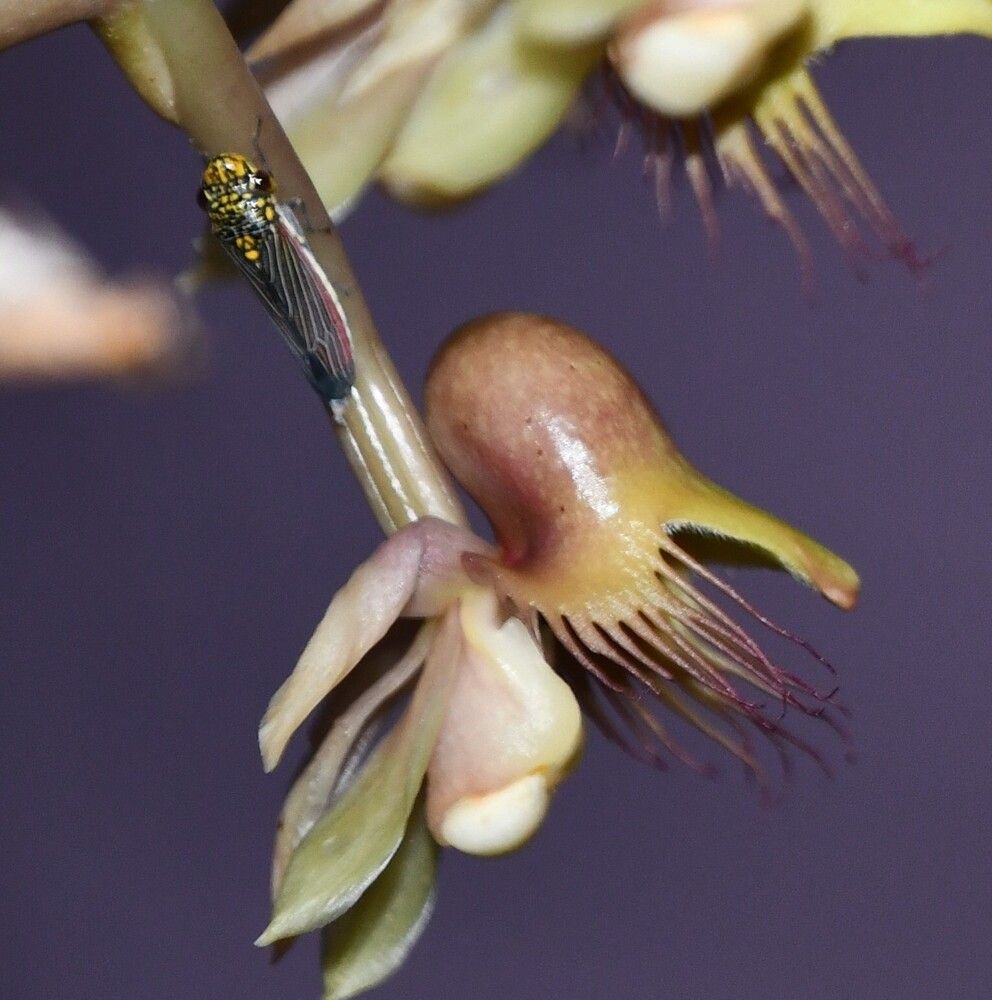 Photograph by Marzio Fattorini