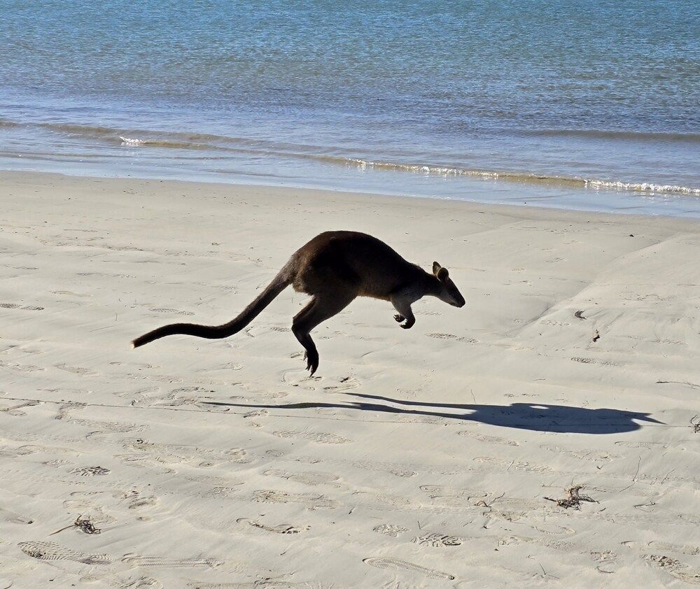 Photograph by Светлана