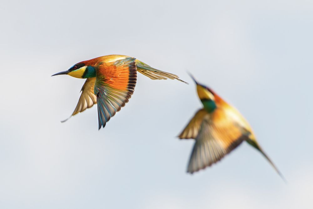 Photograph by Александр Перегудов