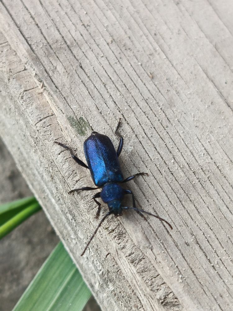 Photograph by Татьяна Бешенкина