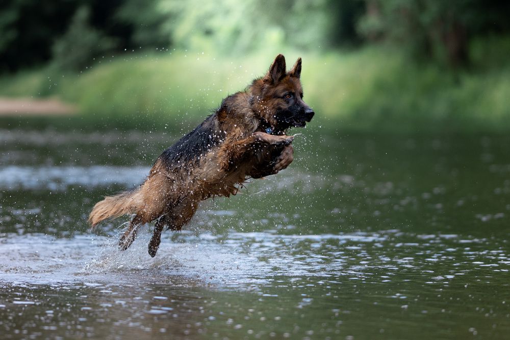 Photograph by Mateusz