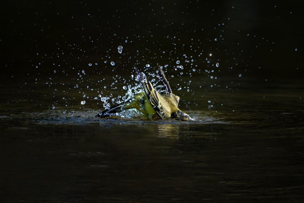 Photograph by Александр Перегудов