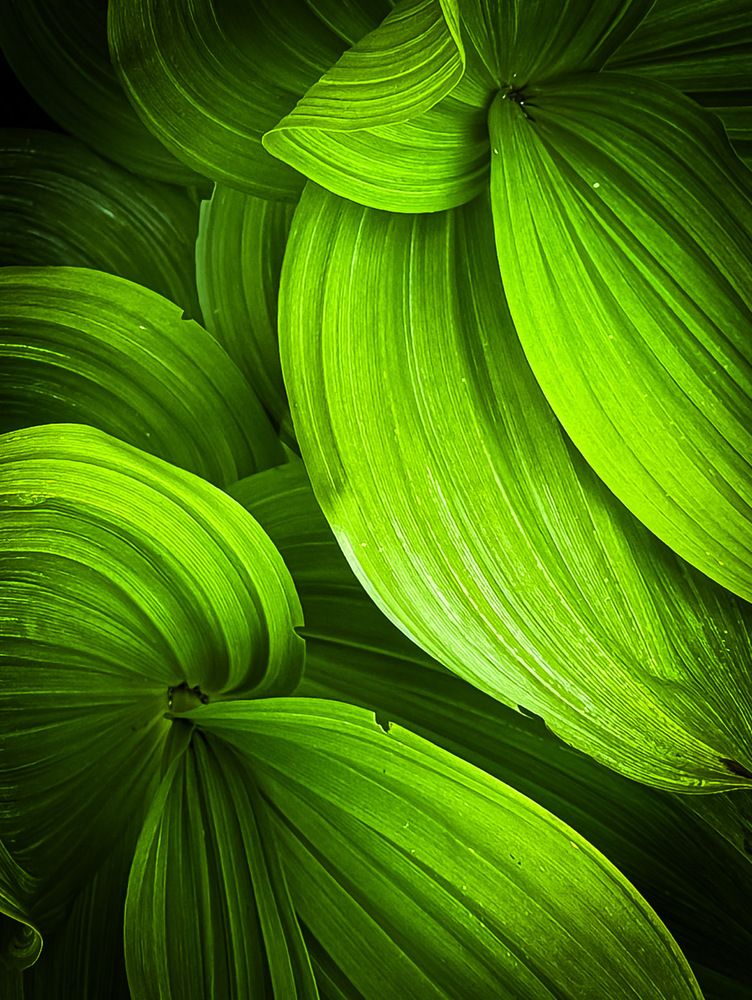 Photograph by Андрей Банников