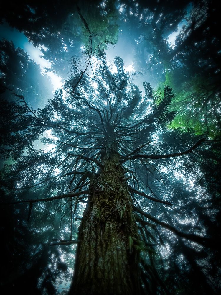 Photograph by Андрей Банников