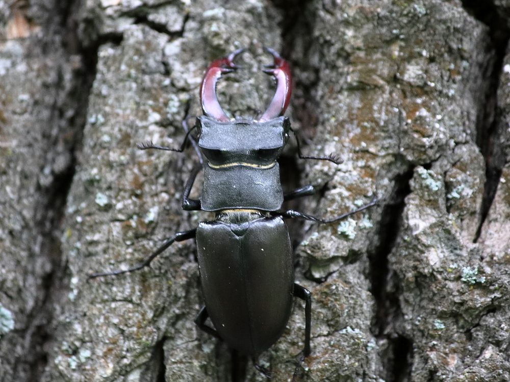 Photograph by Оксана Малахова