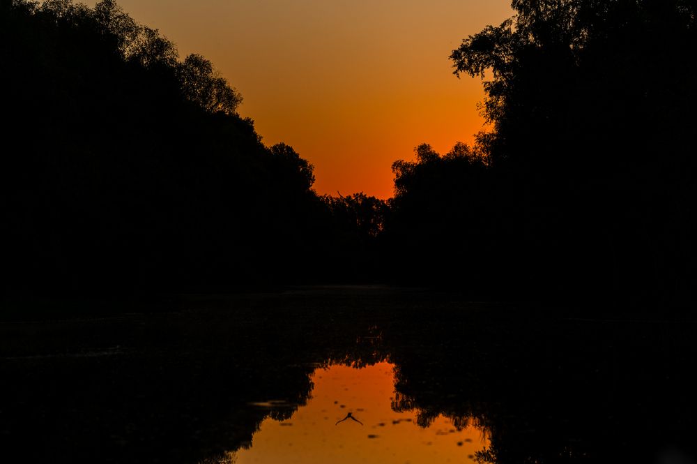 Photograph by George Alexandru Ghiuro