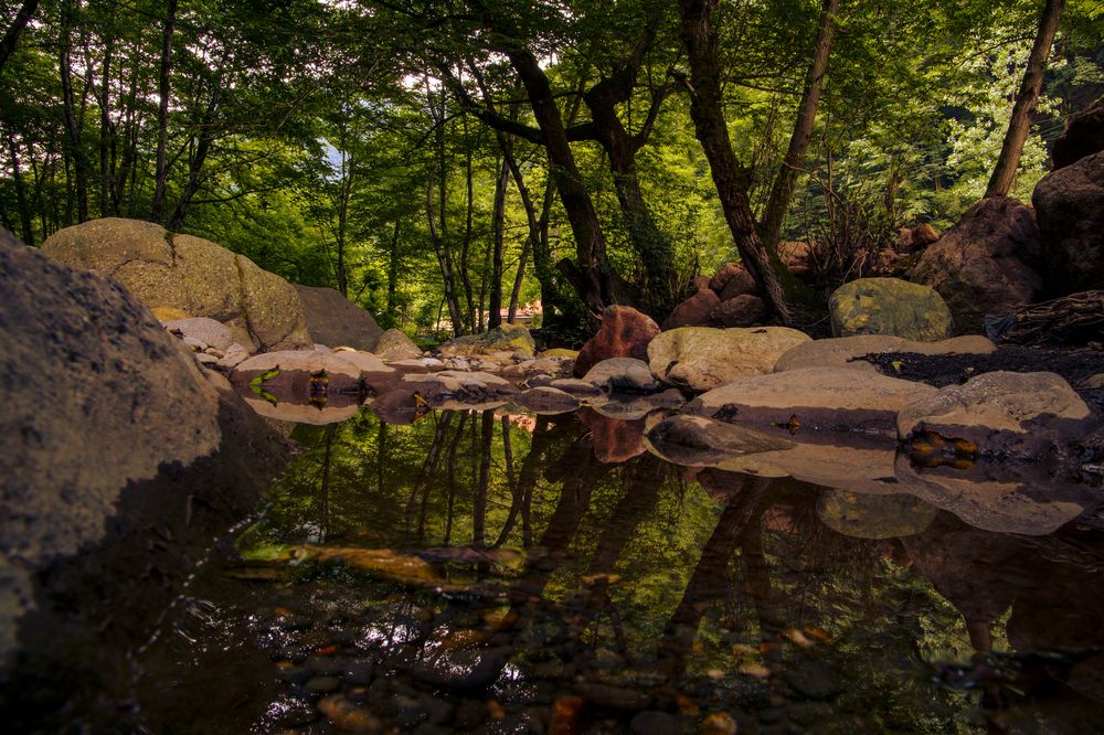 Photograph by reza haghjooy