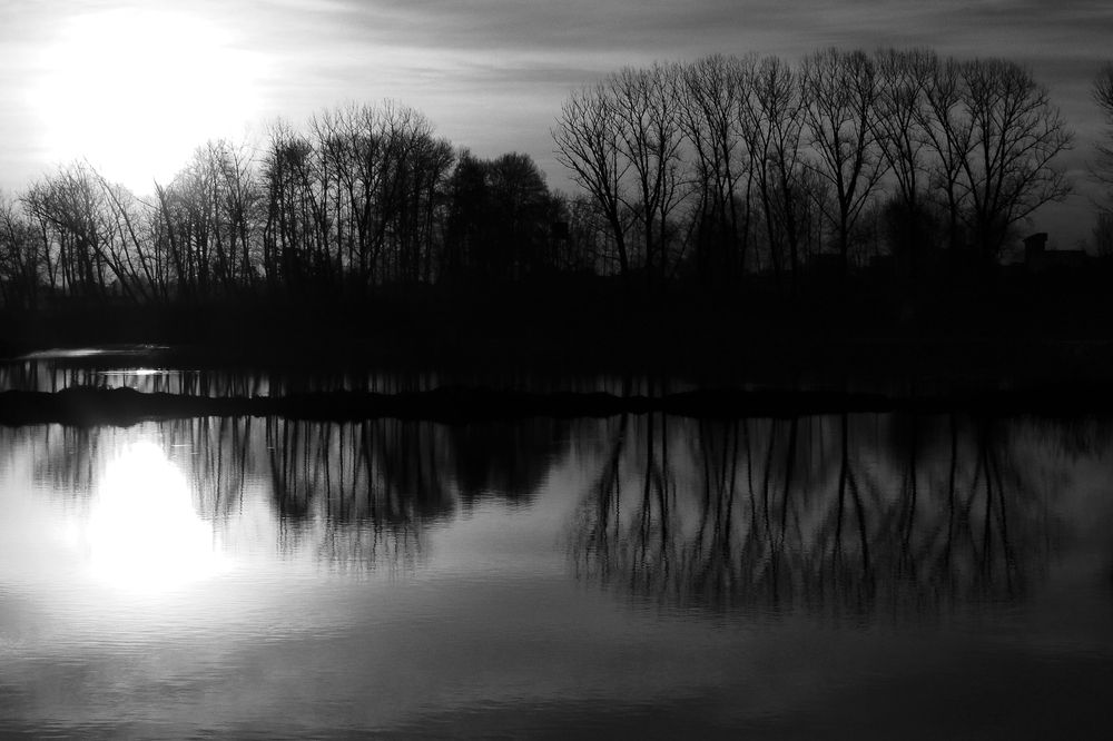 Photograph by reza haghjooy