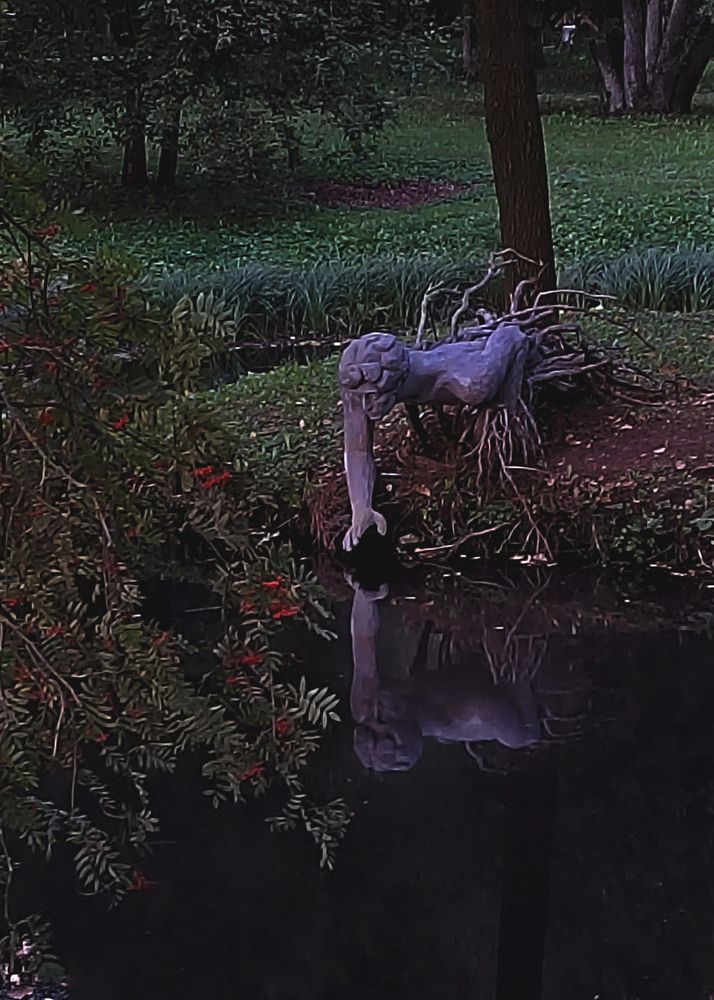 Photograph by Наталья Горовых