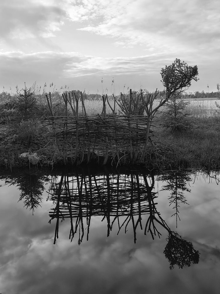 Photograph by Лолита Богачева