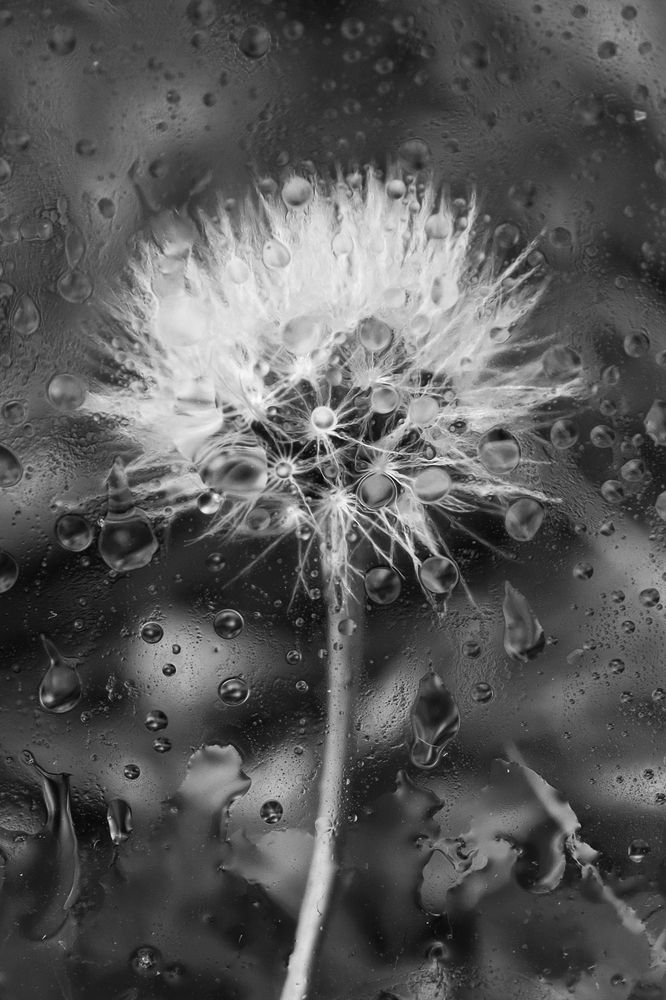 Photograph by Лолита Богачева