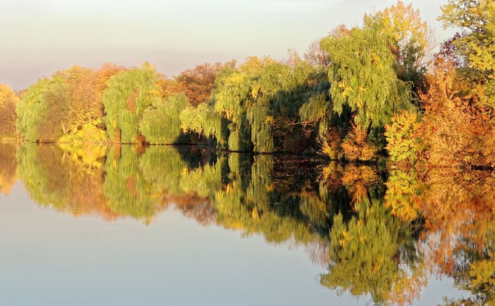 Photograph by Вадим