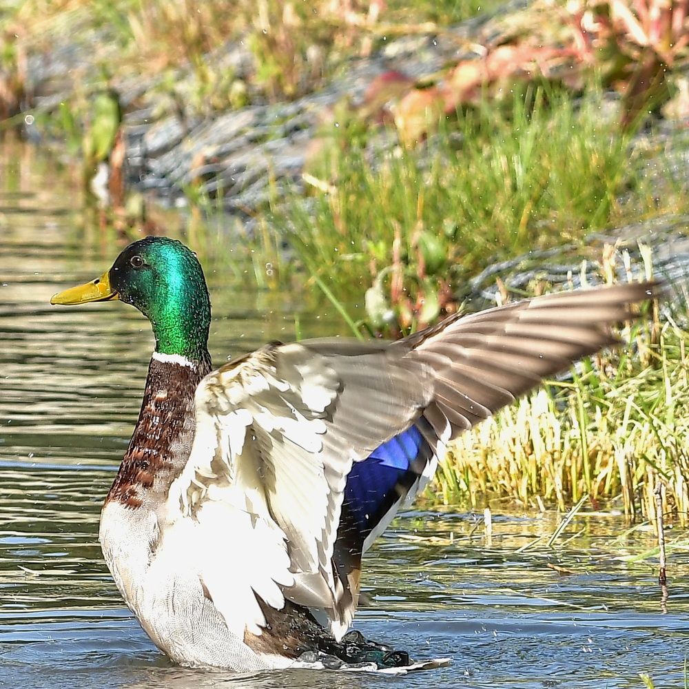 Photograph by Александр Катунцев
