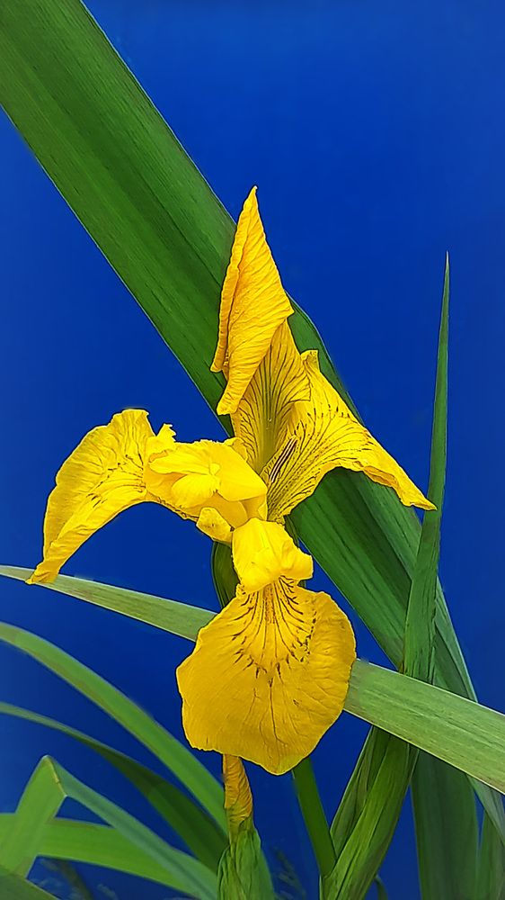 Photograph by Соколова Елена