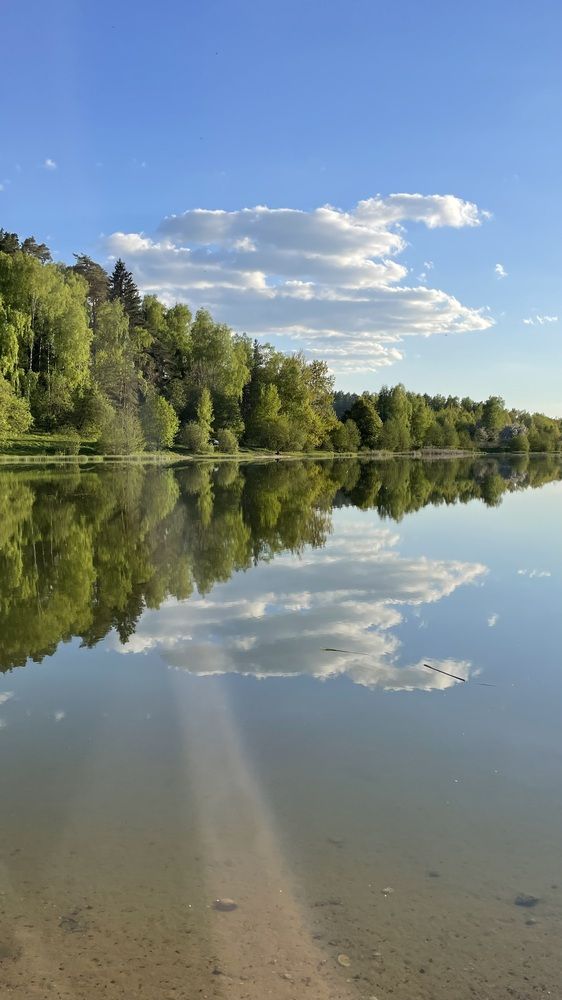 Photograph by Людмила Казак