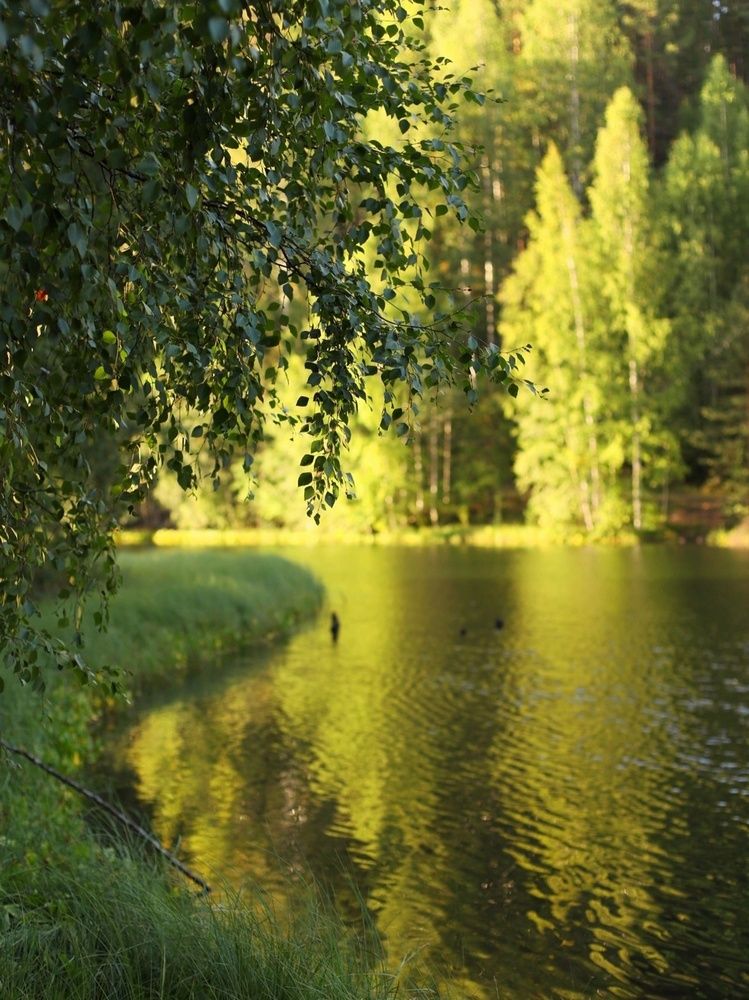 Photograph by Svetlana Hirvonen