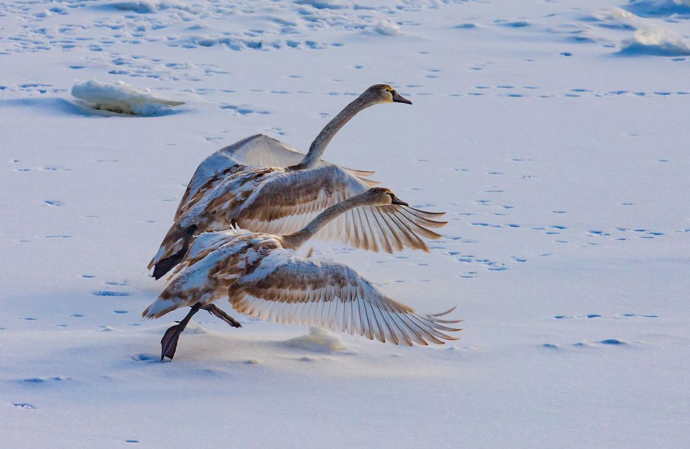 Photograph by Александр Есликов