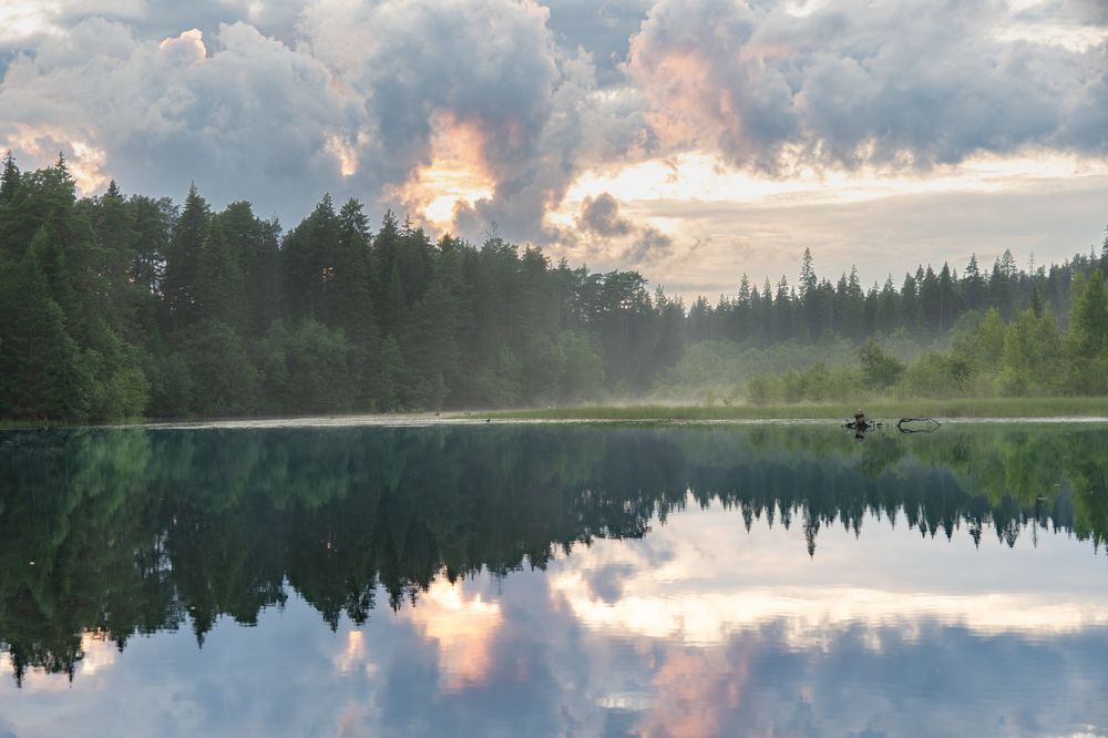 Photograph by Высотских Владимир