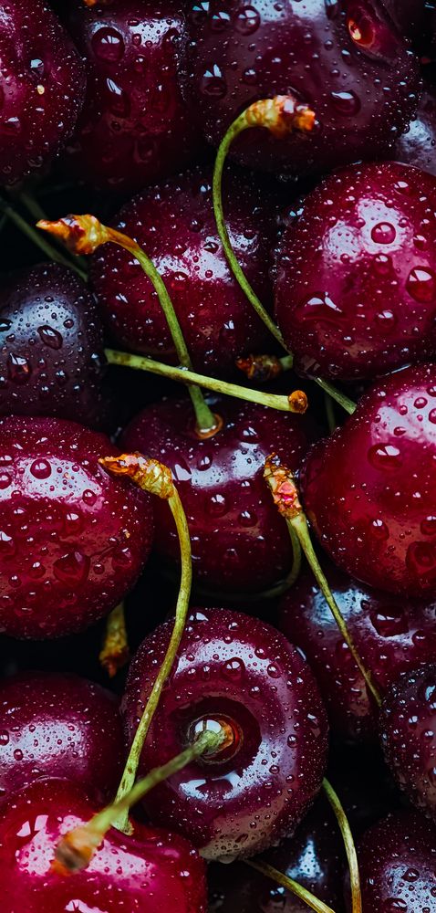 Photograph by Дарья Куклева