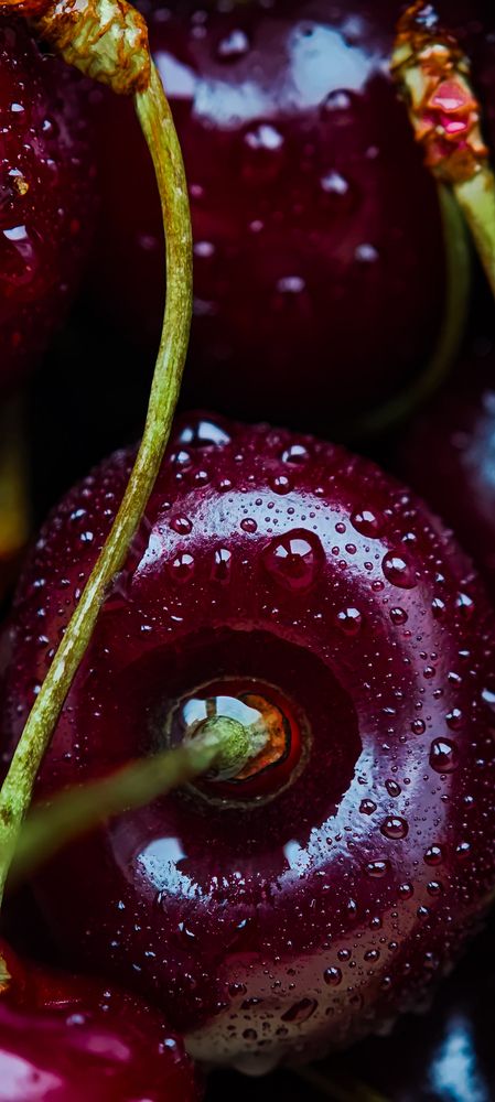 Photograph by Дарья Куклева