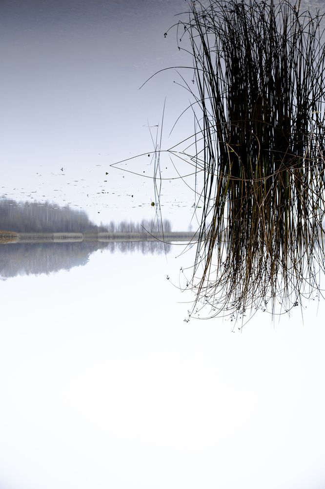 Photograph by Ника Прокопенко