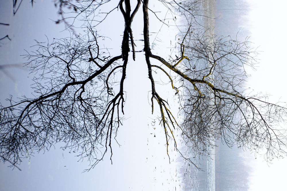 Photograph by Ника Прокопенко