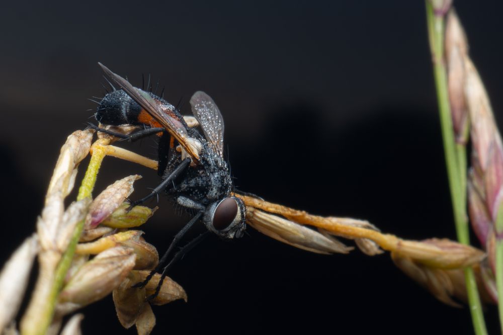 Photograph by Андрей Мичурин